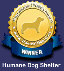 pet training