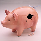 piggy bank