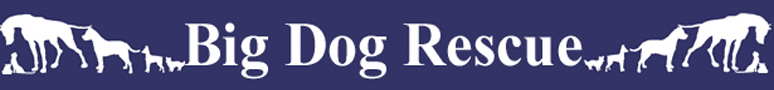 Big Dog Rescue