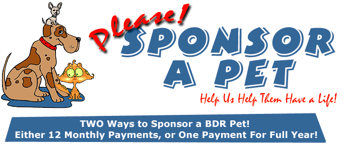 Sponsor A Pet