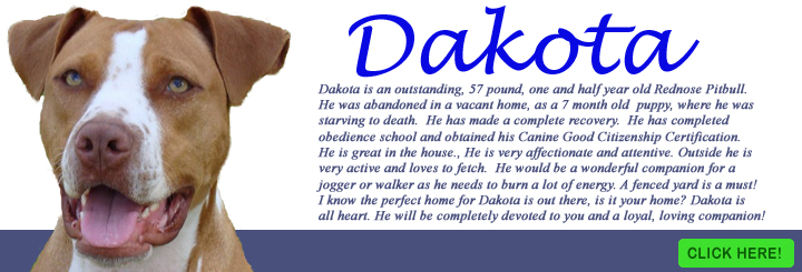 dakota